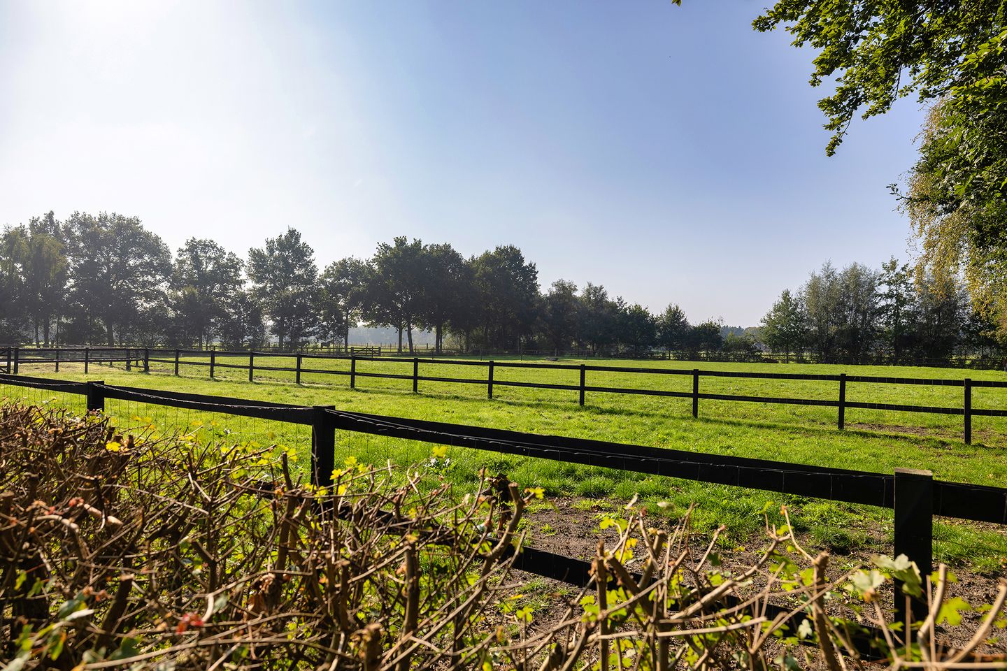 Foto 5 van Burgemeester Frieswijkweg 22