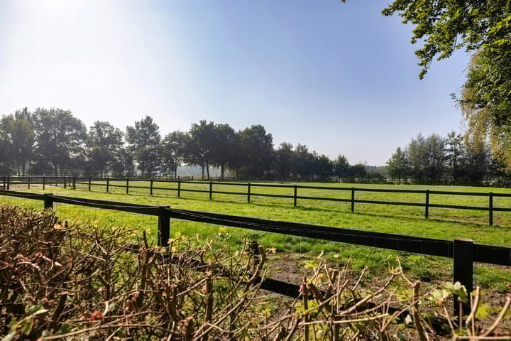 Foto 5 van Burgemeester Frieswijkweg 22