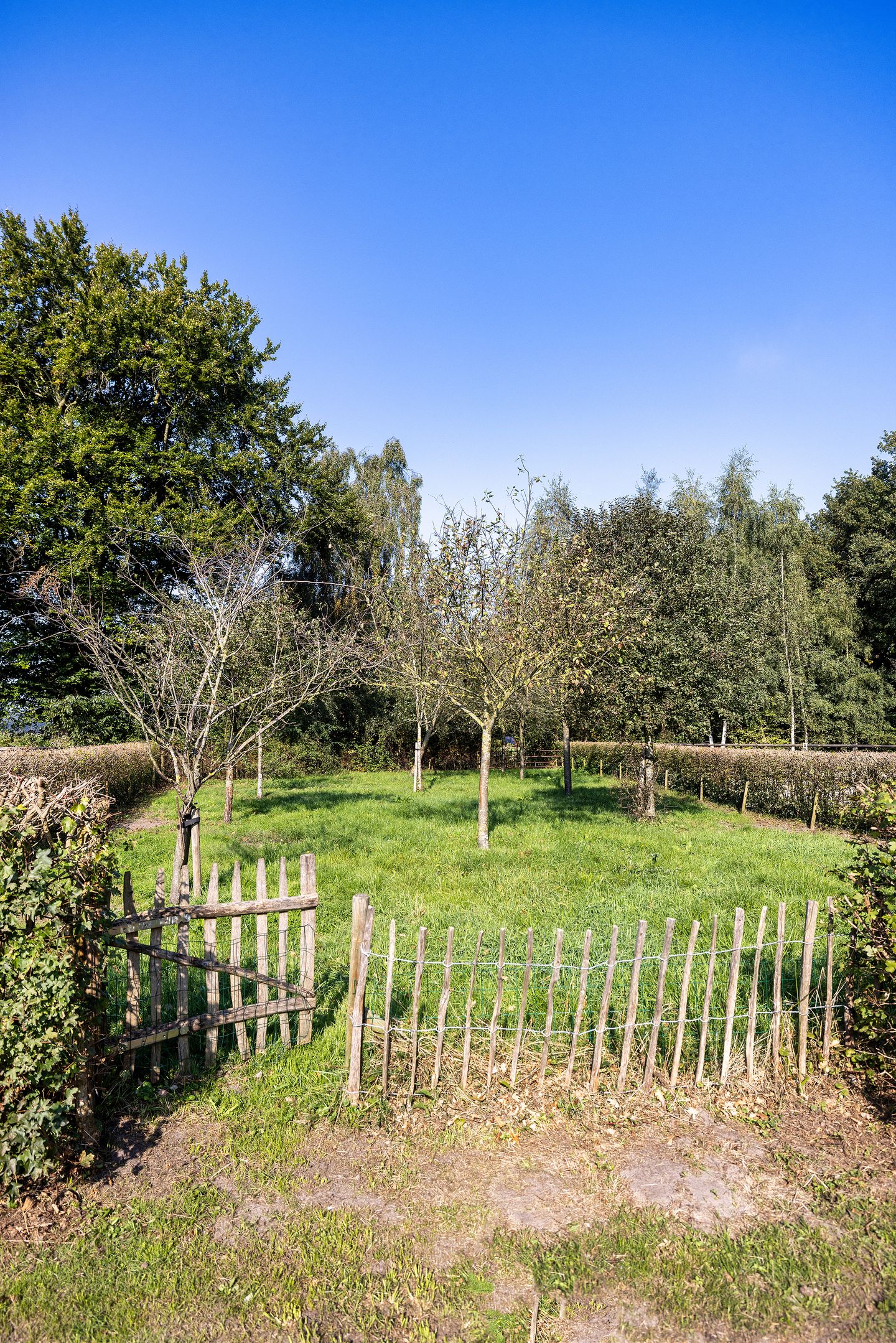 Foto 70 van Burgemeester Frieswijkweg 22