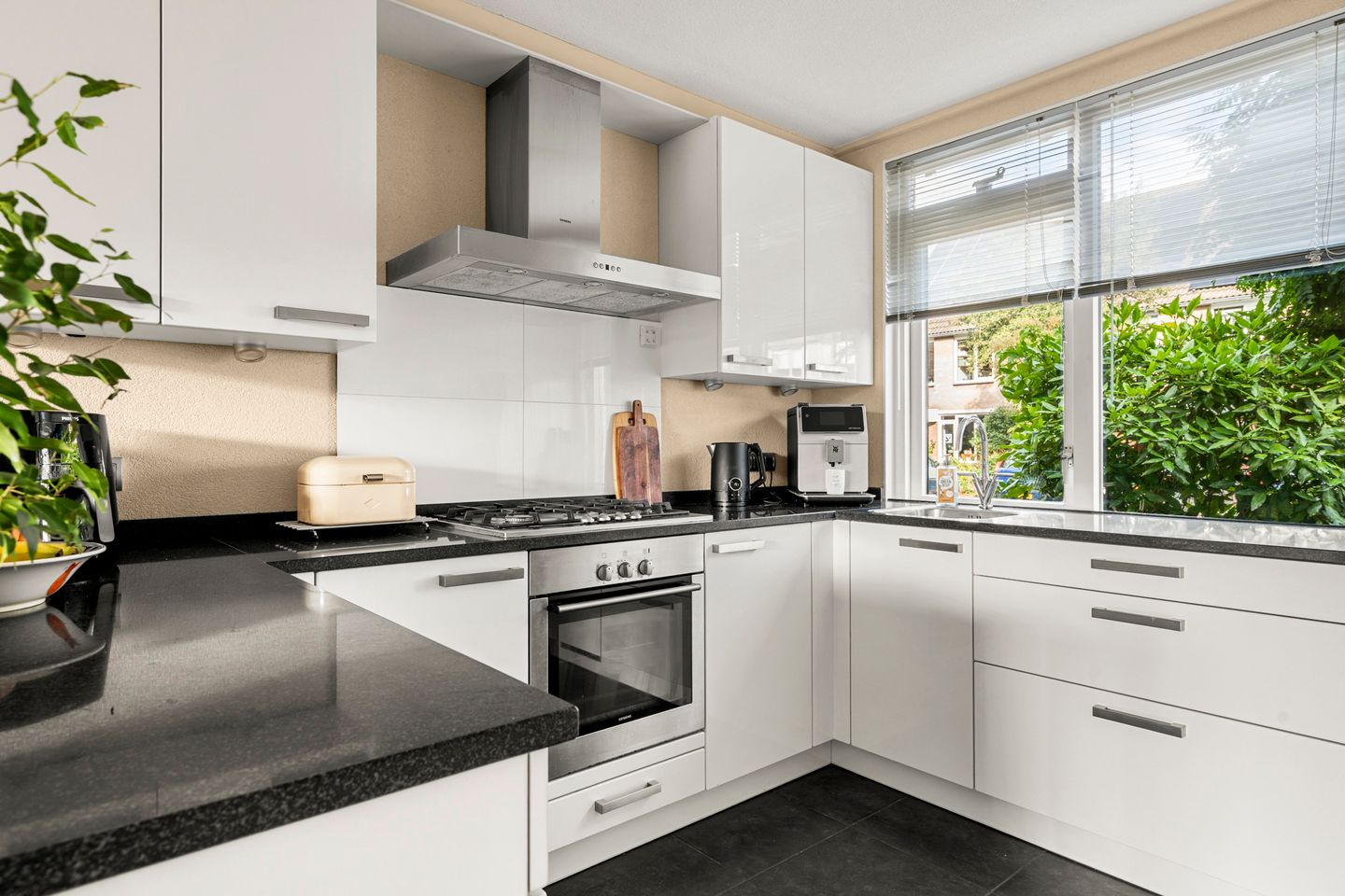 Foto 4 van Leeuweriksweide 240