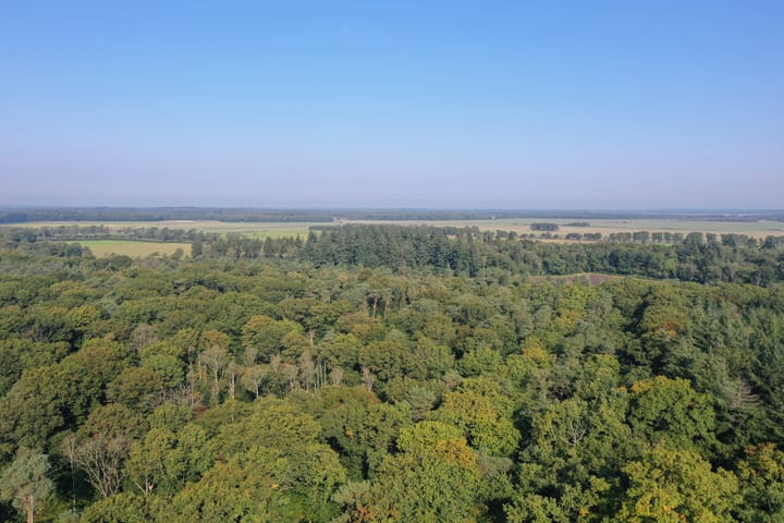 Foto 5 van Koningsweg 24-C