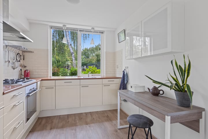 Foto 21 van Leonardo da Vincistraat 74