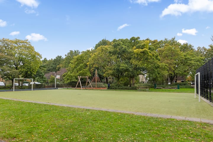 Foto 50 van Leonardo da Vincistraat 74