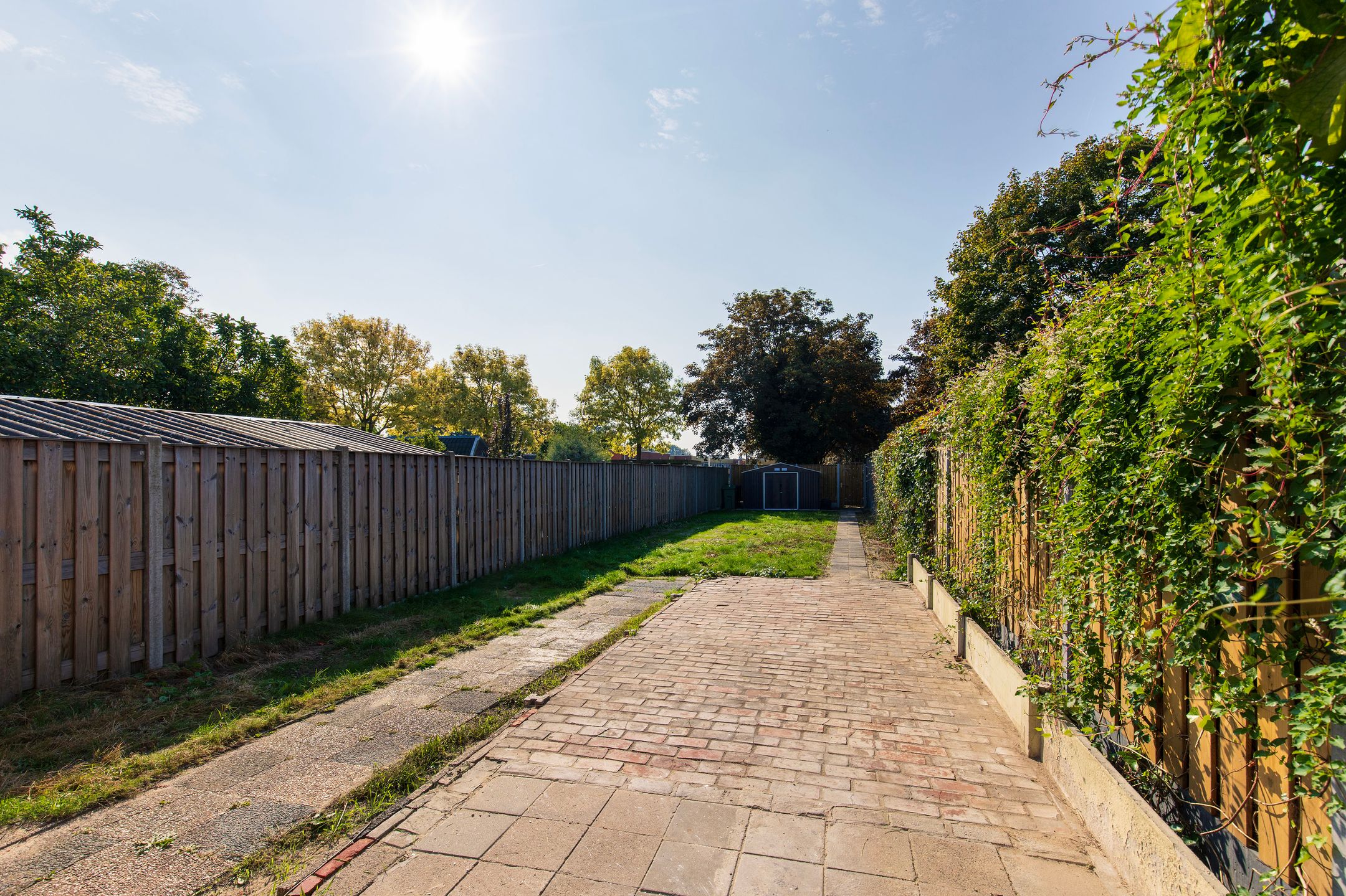 Foto 33 van Molendreef 26