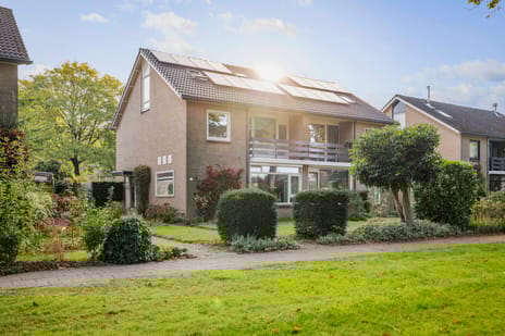 undefined main image