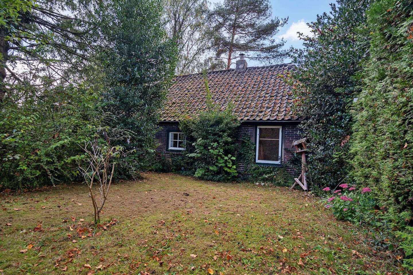 Foto 40 van Eendrachtstraat 43