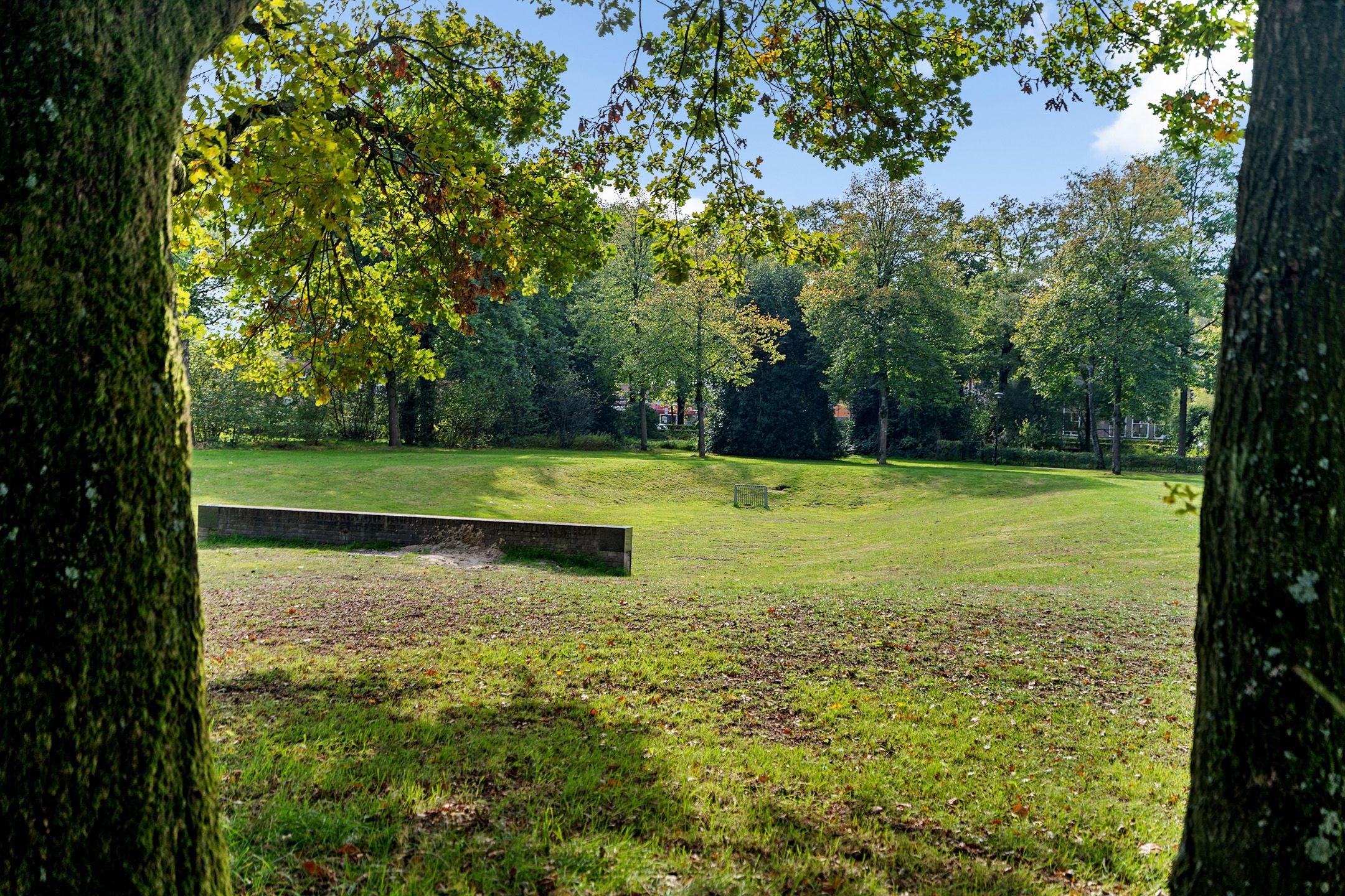 Foto 48 van Eendrachtstraat 43