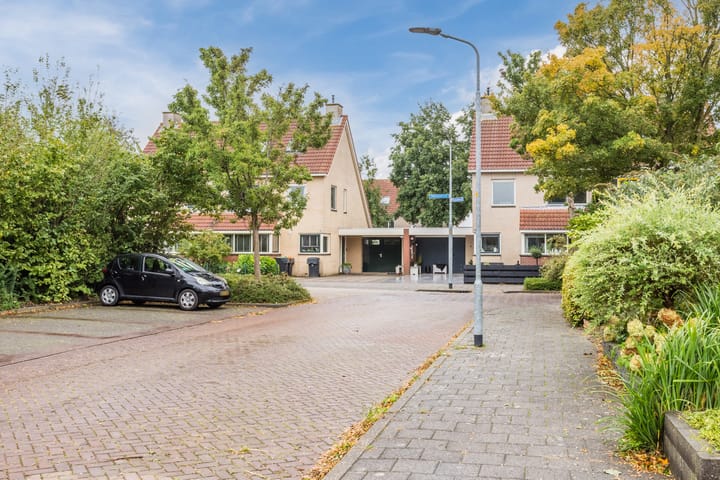 Foto 38 van Fonteinkruid 5