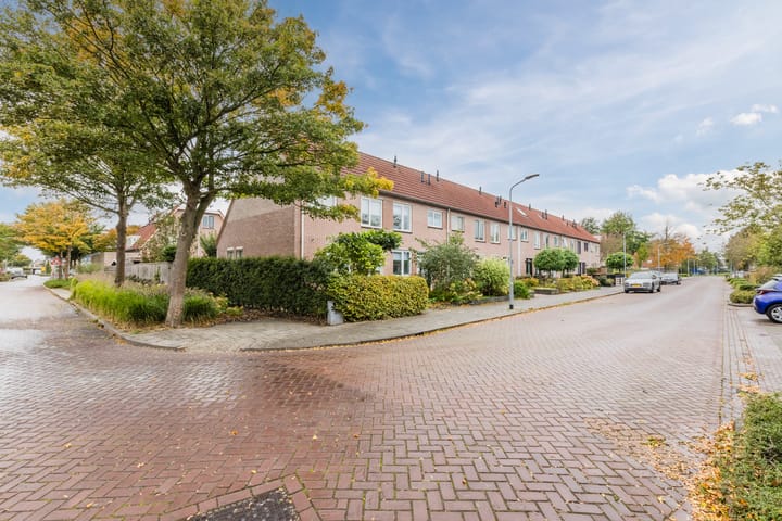 Foto 43 van Fonteinkruid 5