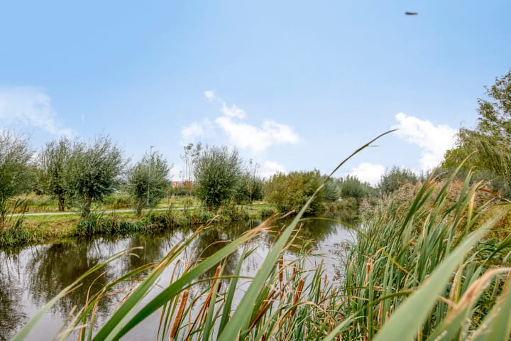 Photo 33 of Afrikalaan 193