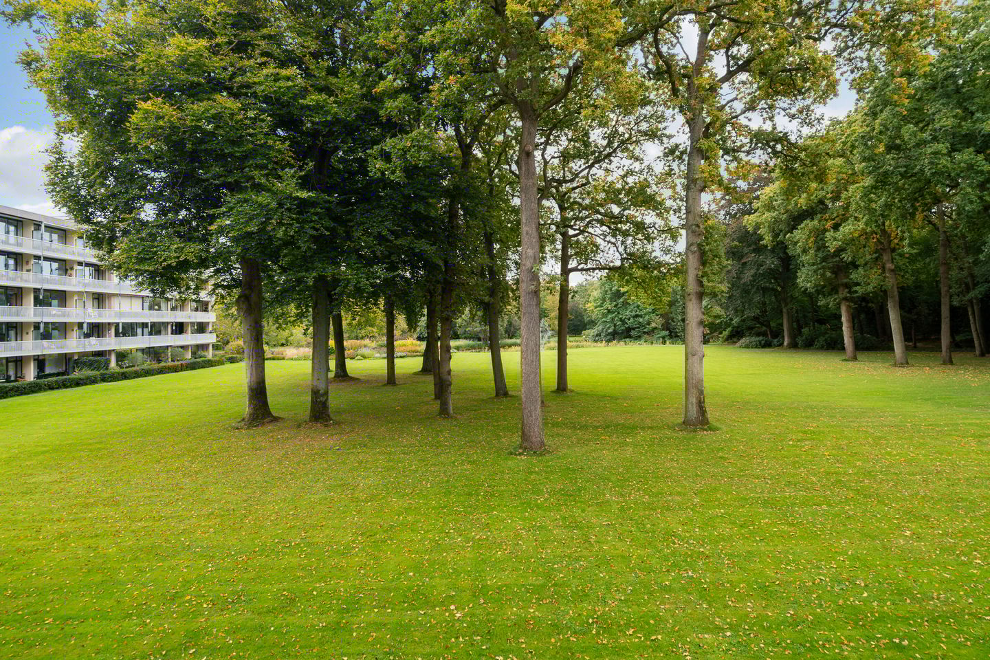 Photo 14 of Stoeplaan 11-F10