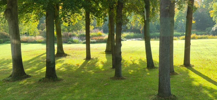 Foto 15 van Stoeplaan 11-F10