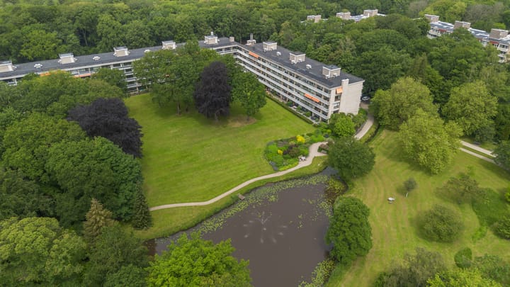 Foto 40 van Stoeplaan 11-F10