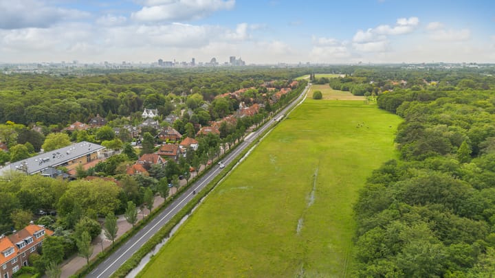 Foto 41 van Stoeplaan 11-F10