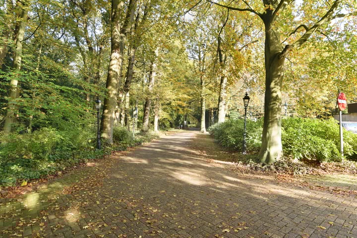 Foto 42 van Stoeplaan 11-F10