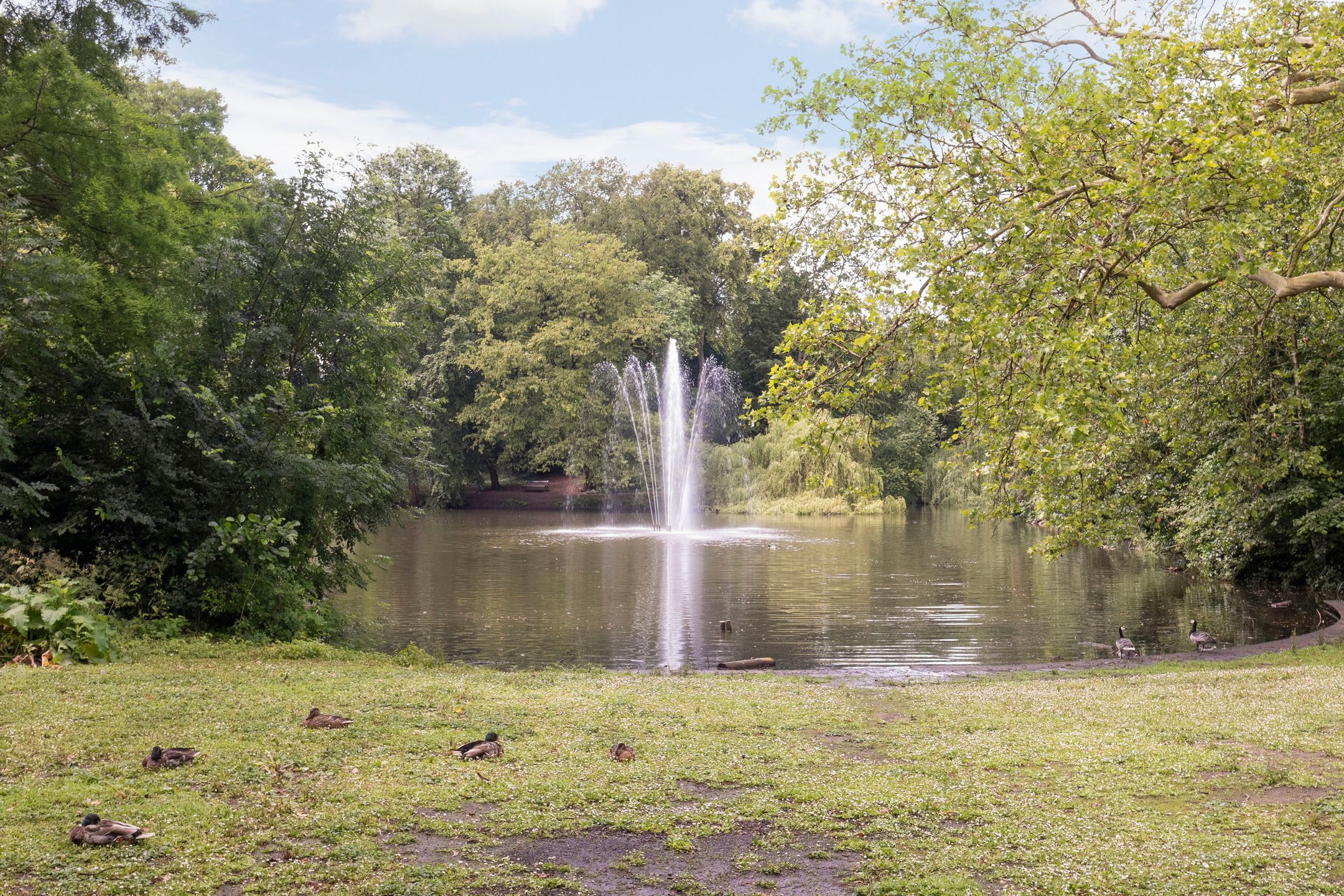 Foto 30 van St.-Bonifaciusstraat 53-BS