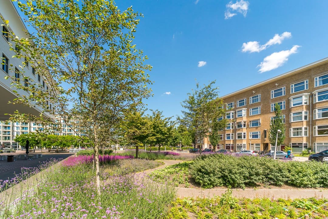 Photo 23 of Stadionplein 43-2