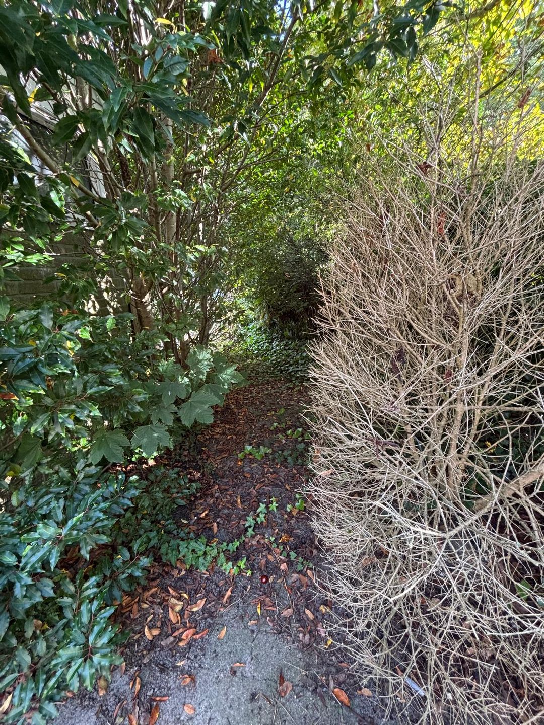 Foto 17 van Langeweg 65