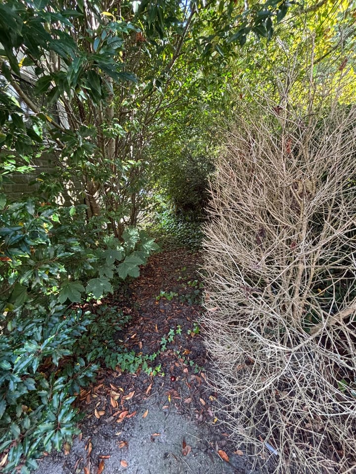 Photo 17 of Langeweg 65