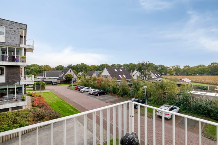 Foto 9 van Weegbree 38