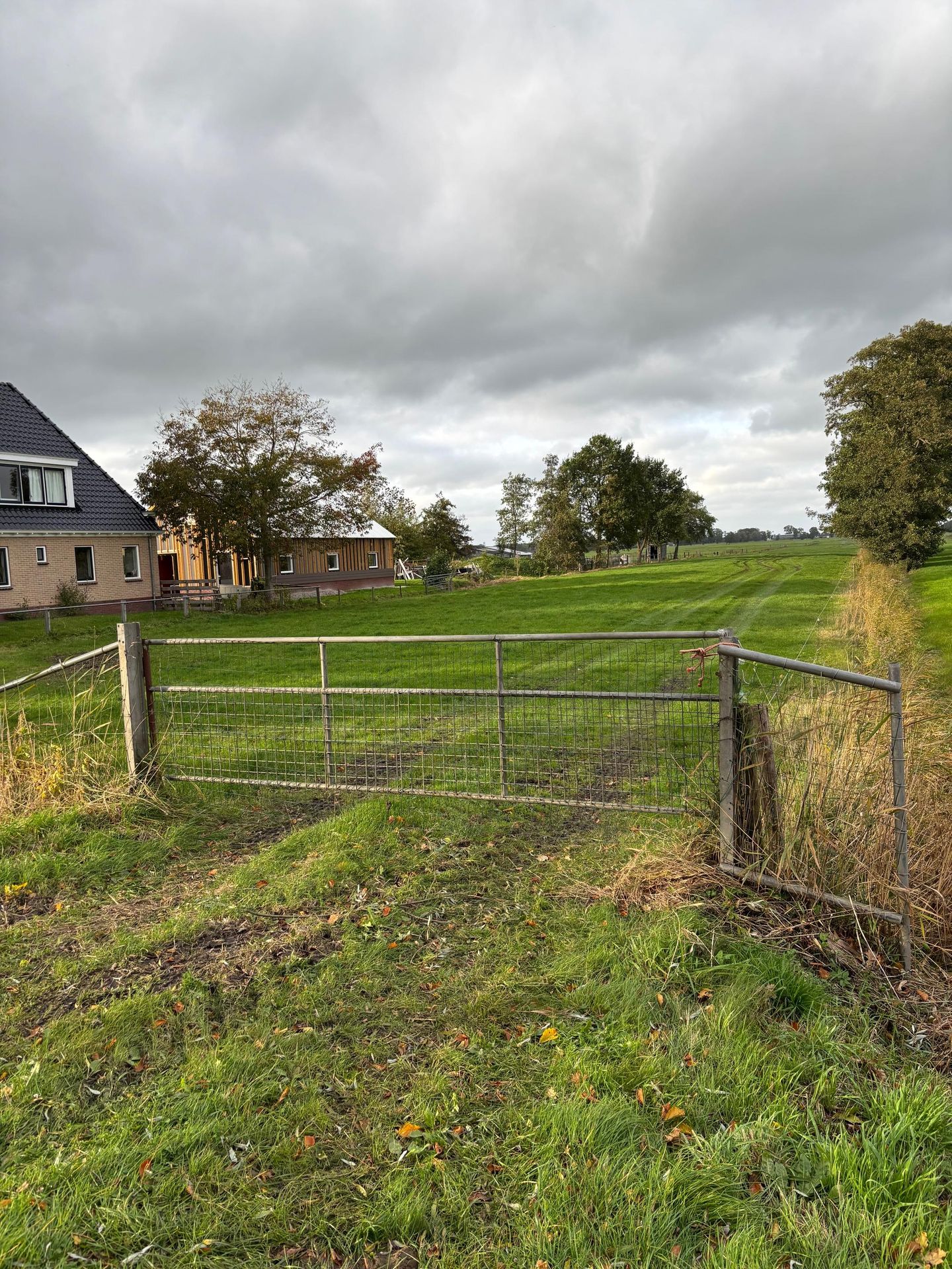 Bekijk foto 2 van Langewolderweg