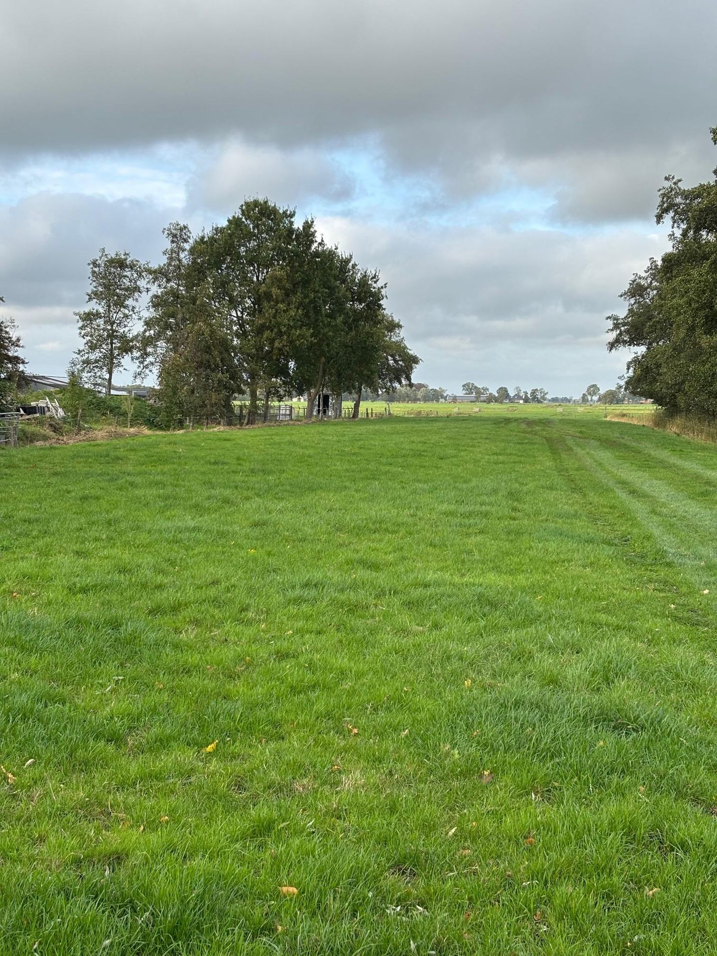 Bekijk foto 3 van Langewolderweg