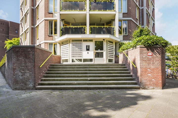 Foto 4 van Anna Paulownahof 203