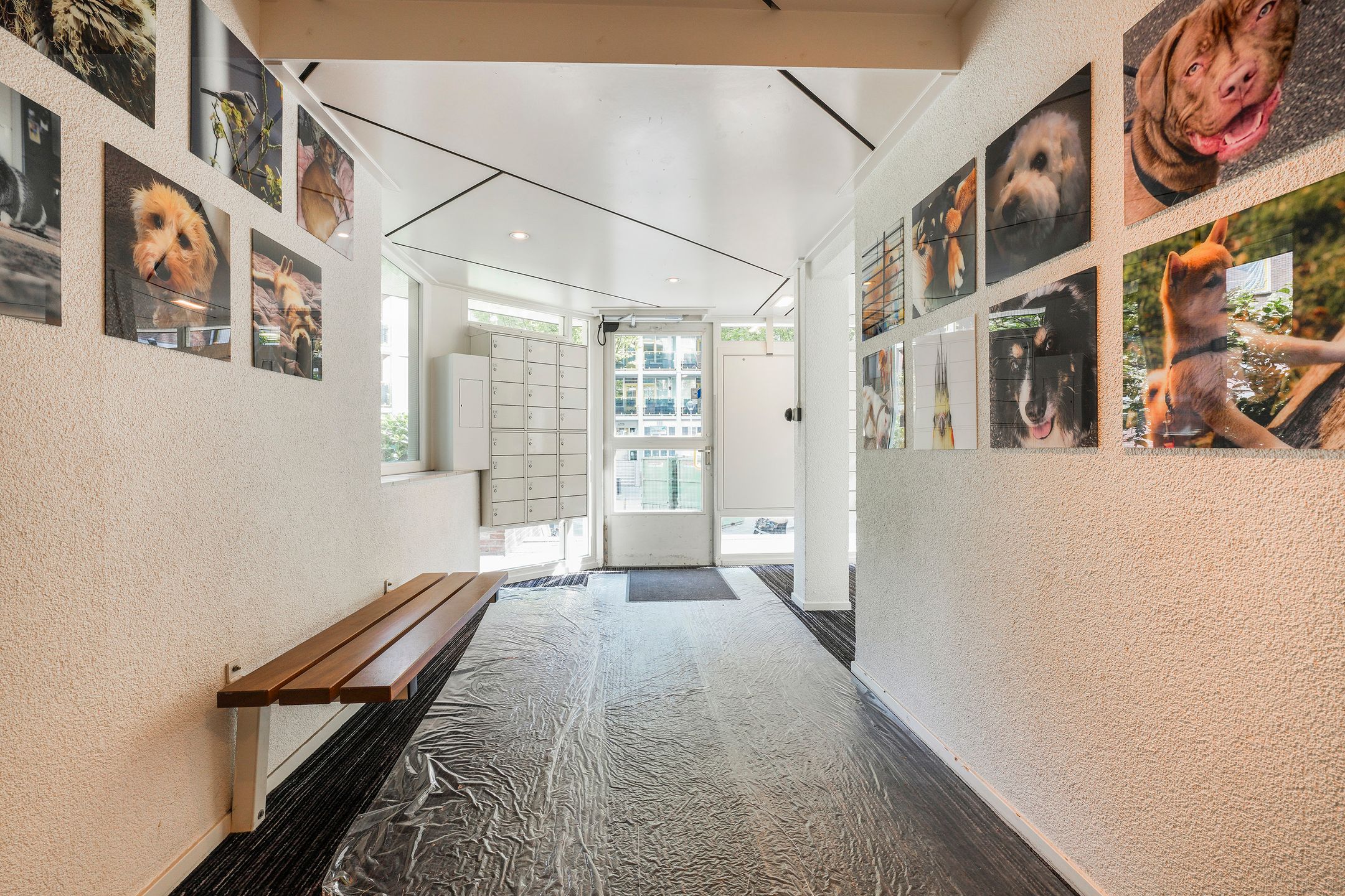 Foto 6 van Anna Paulownahof 203