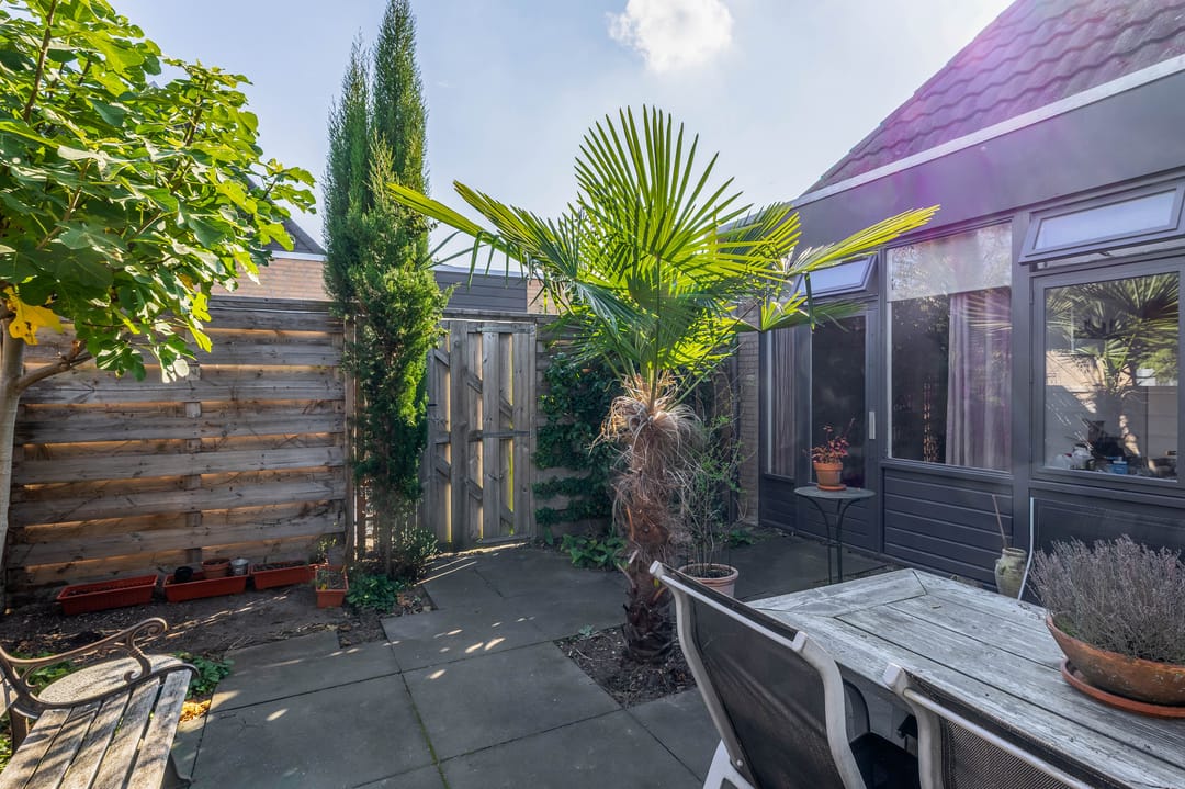 Foto 32 van Ikoon 32