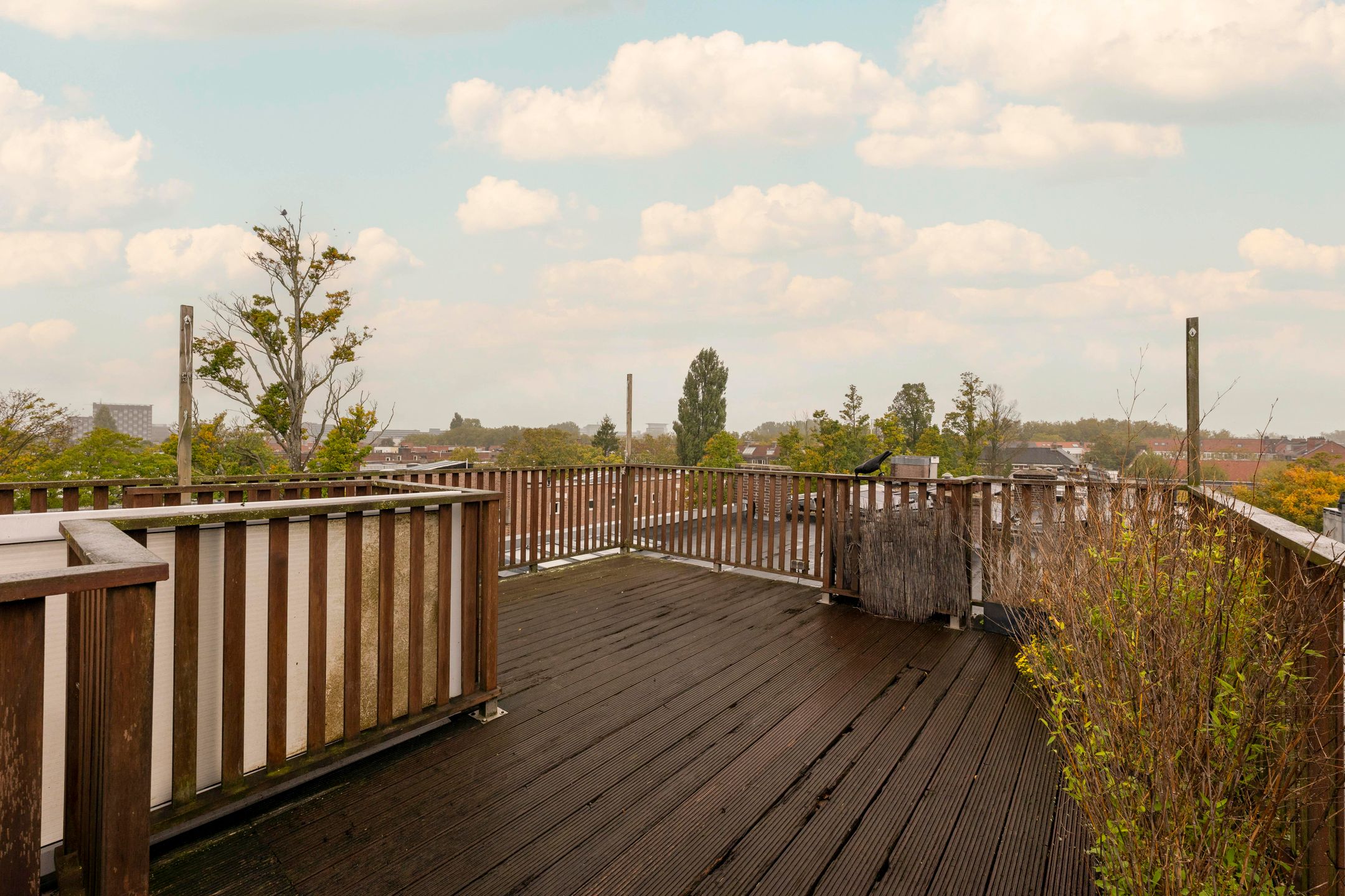 Foto 24 van Marco Polostraat 266-3