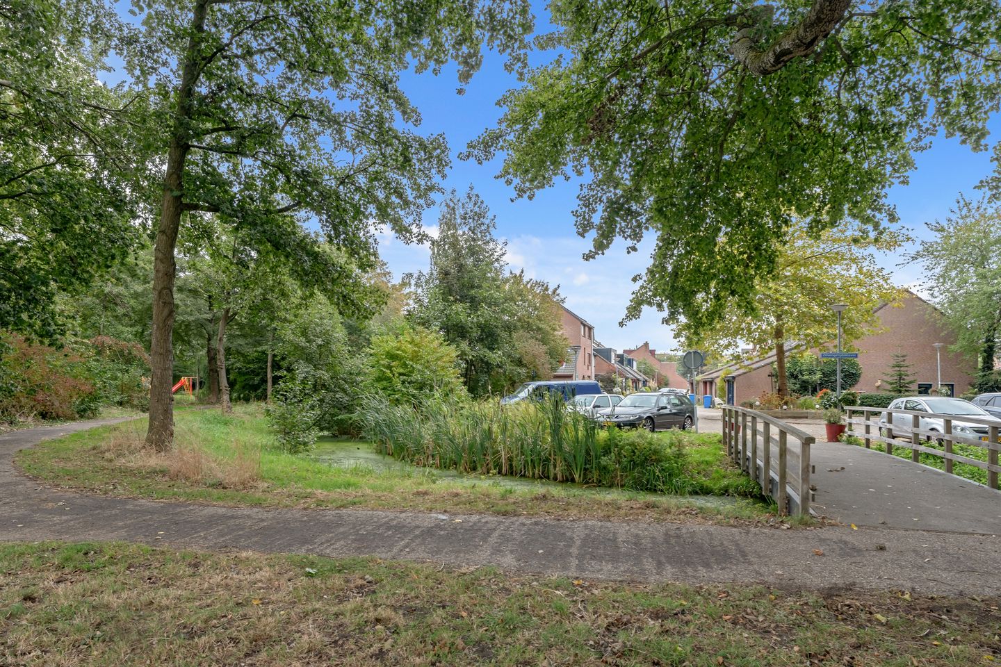 Foto 5 van Zevengetijdeklaver 17