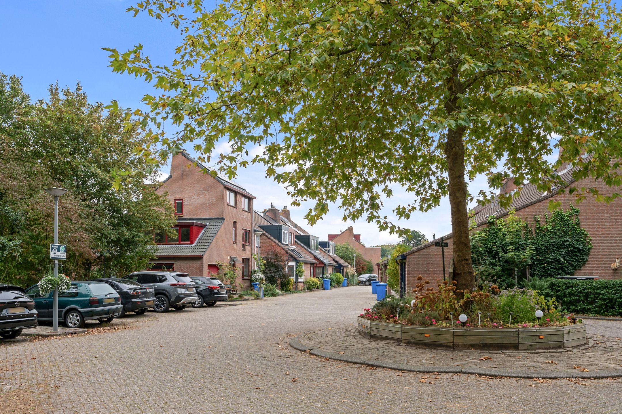 Foto 6 van Zevengetijdeklaver 17