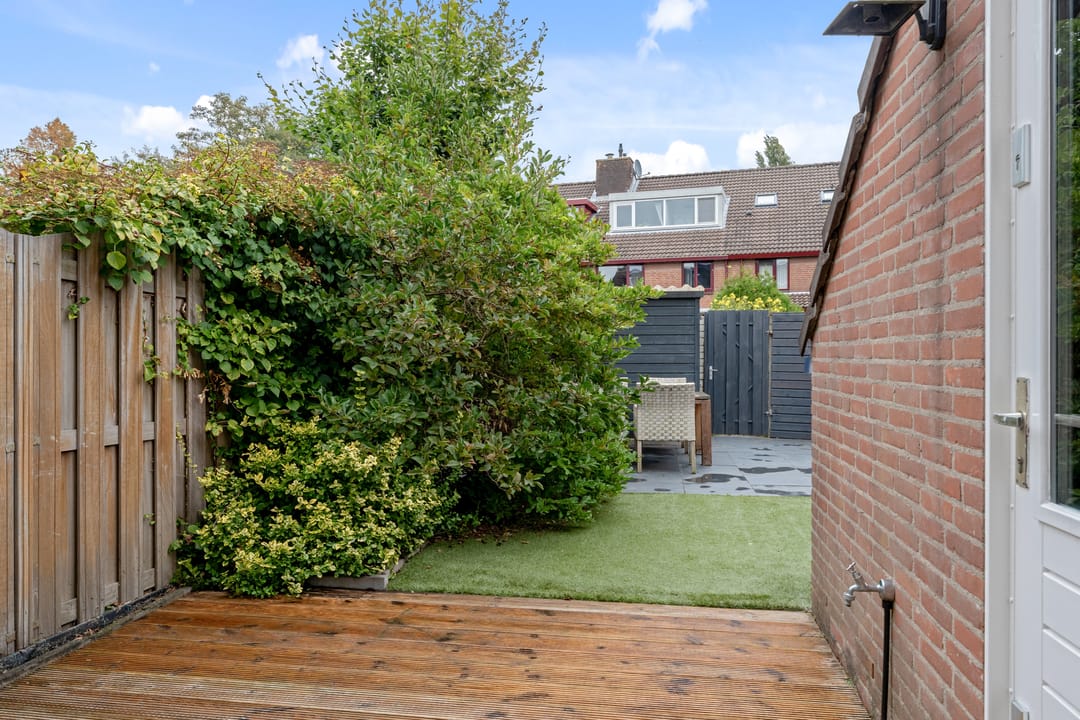 Foto 17 van Zevengetijdeklaver 17