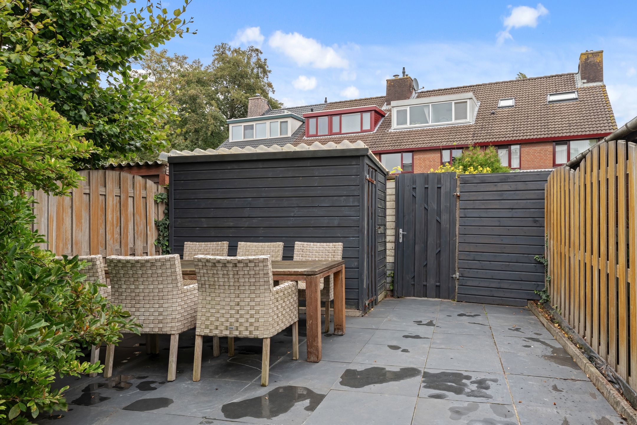 Foto 18 van Zevengetijdeklaver 17