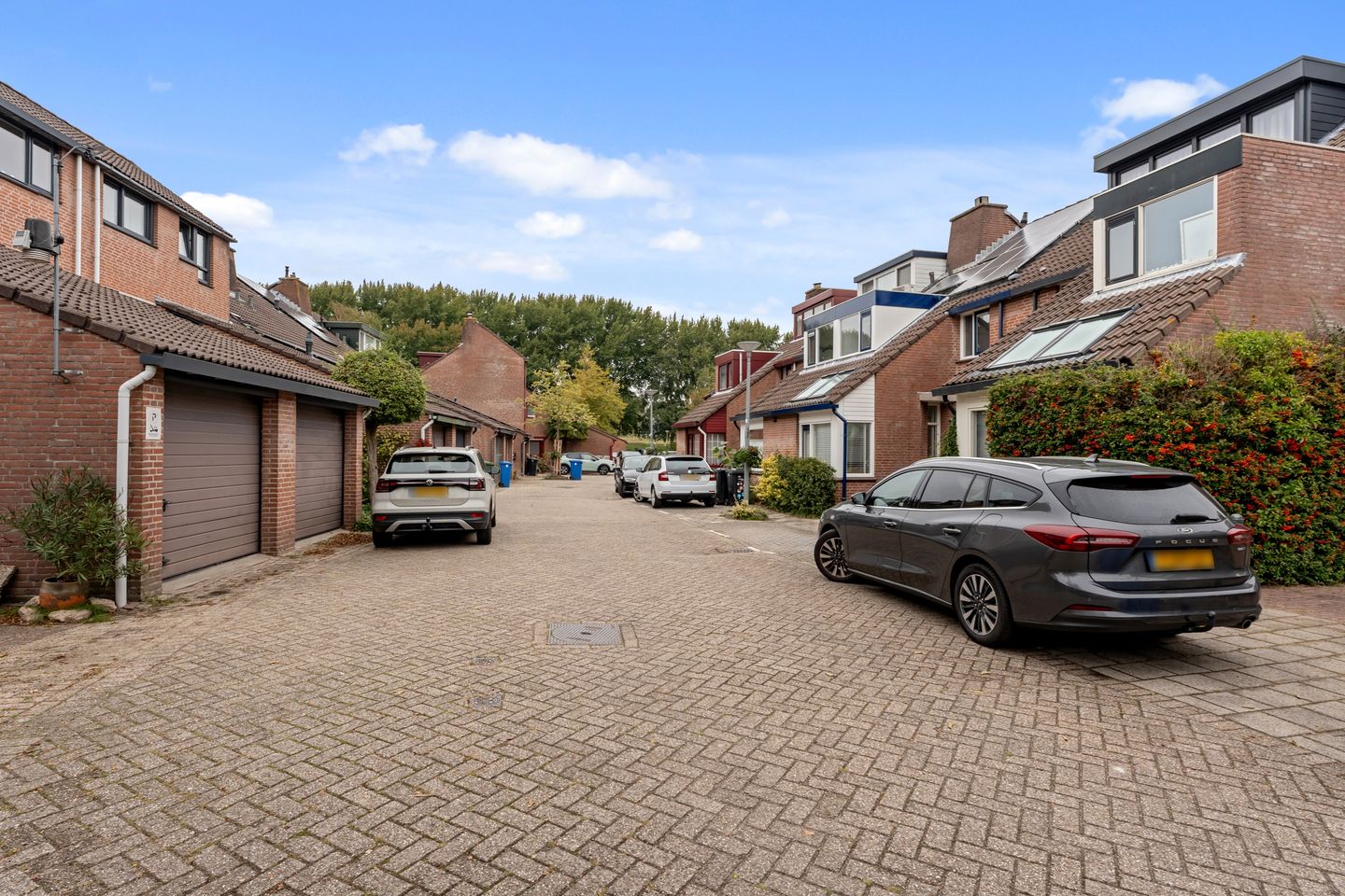 Foto 35 van Zevengetijdeklaver 17