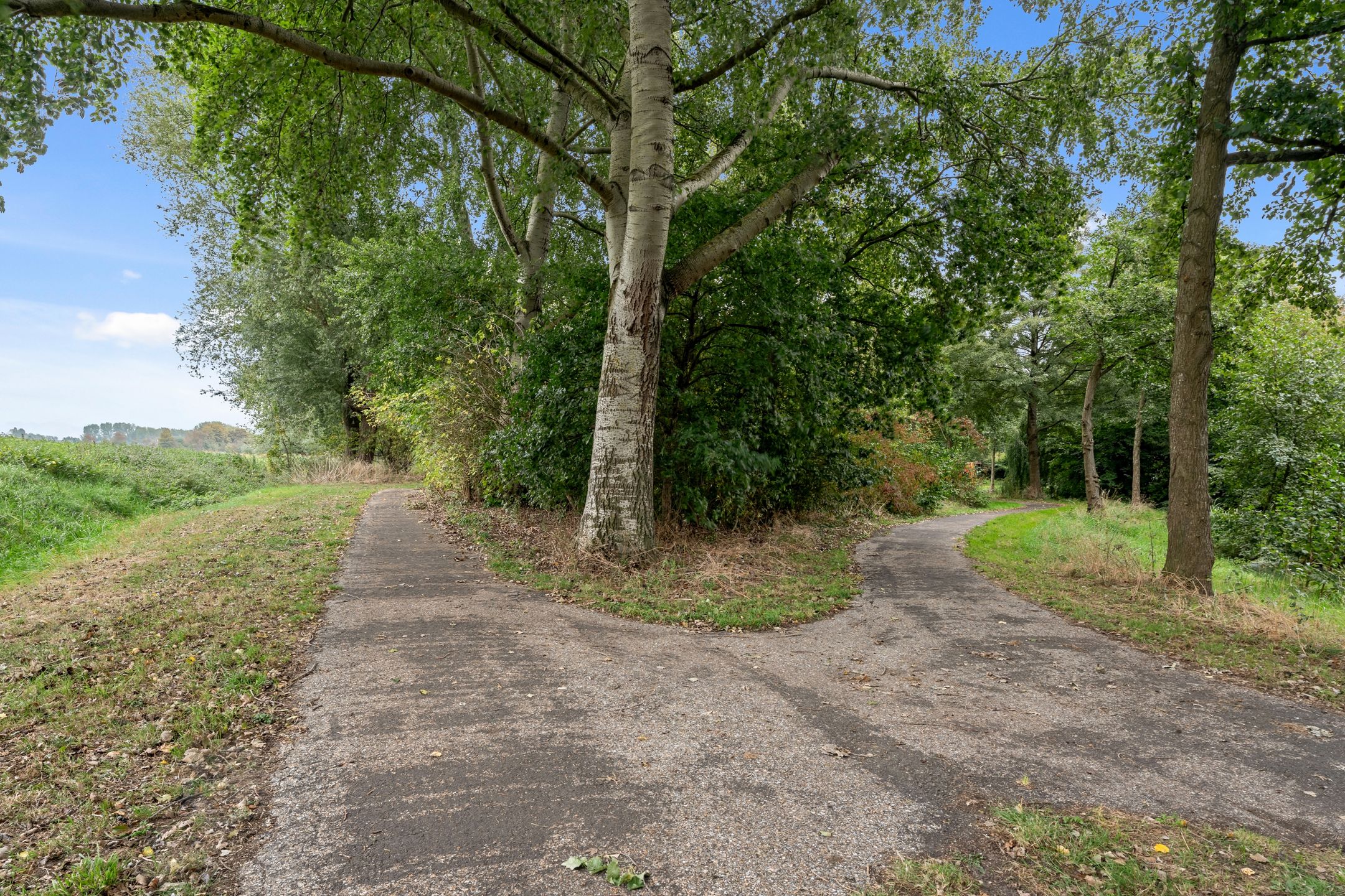 Foto 36 van Zevengetijdeklaver 17