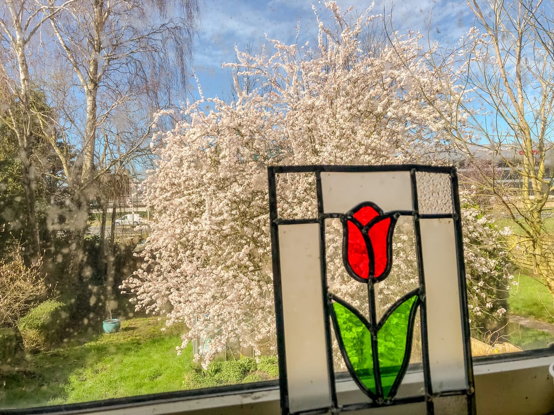 Photo 28 of Schipholdijk 261