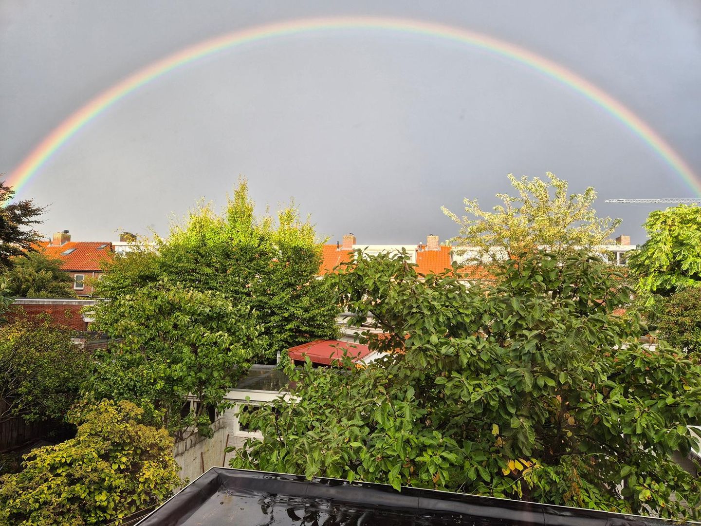 Foto 25 van Biesterweg 63