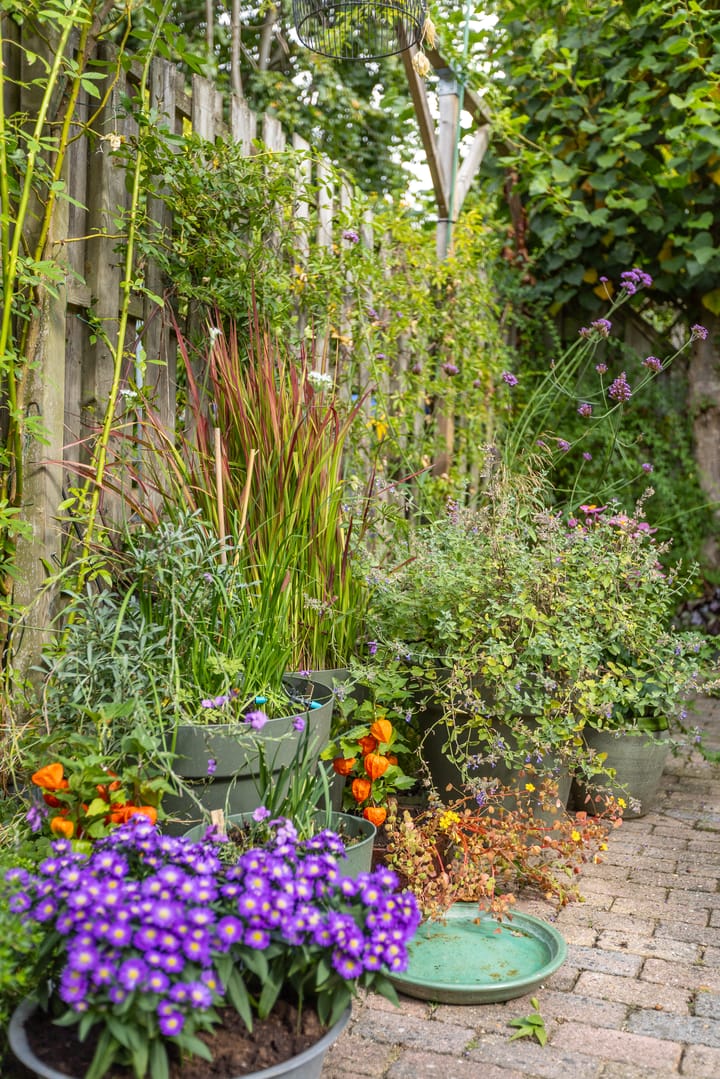 Foto 39 van Jonagoldstraat 3