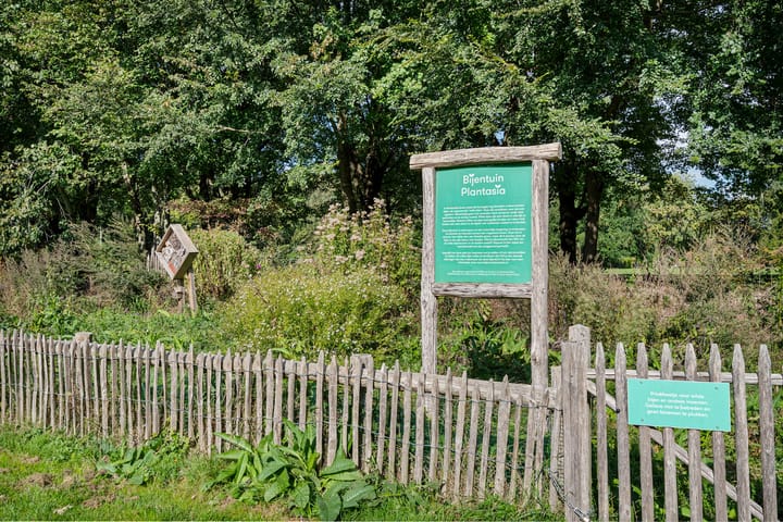 Photo 34 of Vespuccistraat 99-2