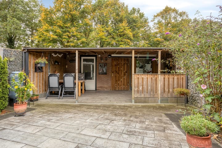 Foto 29 van Nagelkruid 48