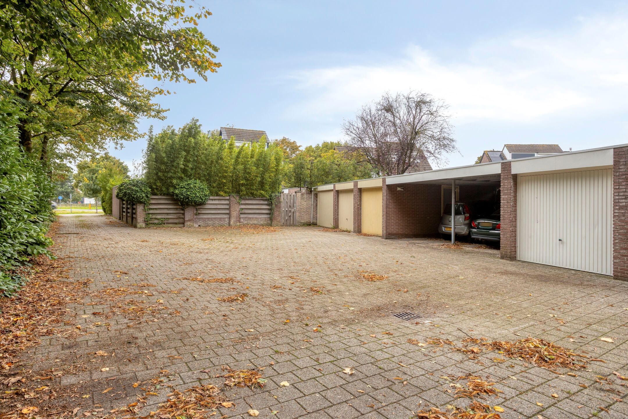 Foto 33 van Nagelkruid 48