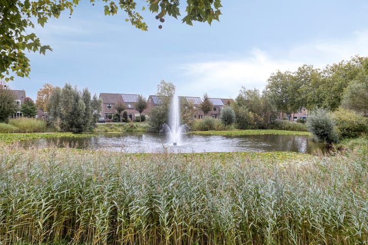 Foto 34 van Nagelkruid 48