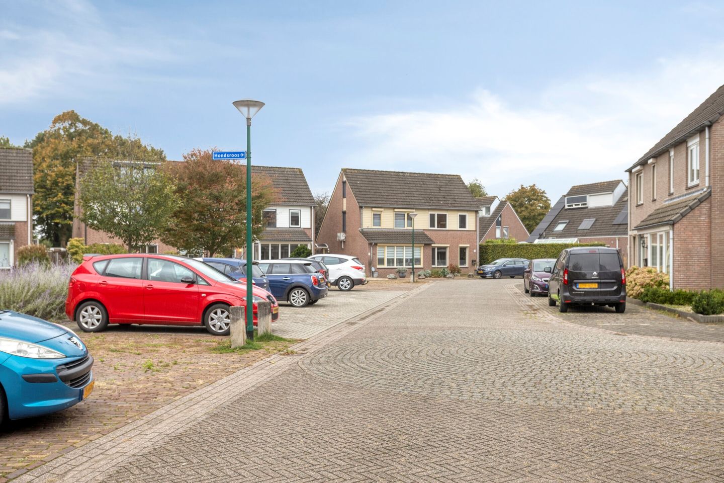 Foto 35 van Nagelkruid 48