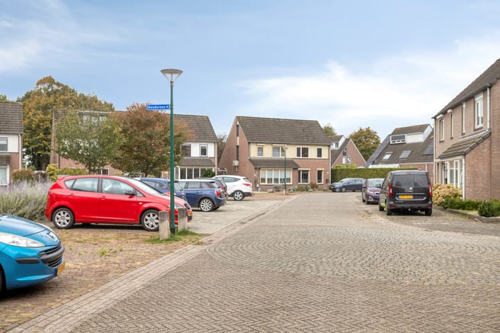 Foto 35 van Nagelkruid 48