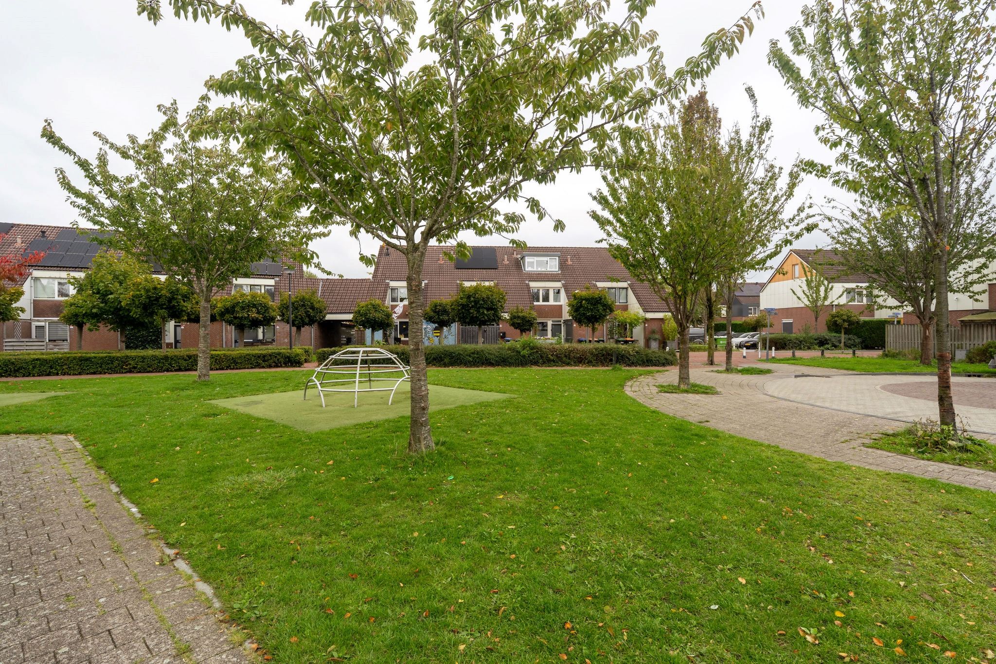 Foto 39 van Punter 23 12