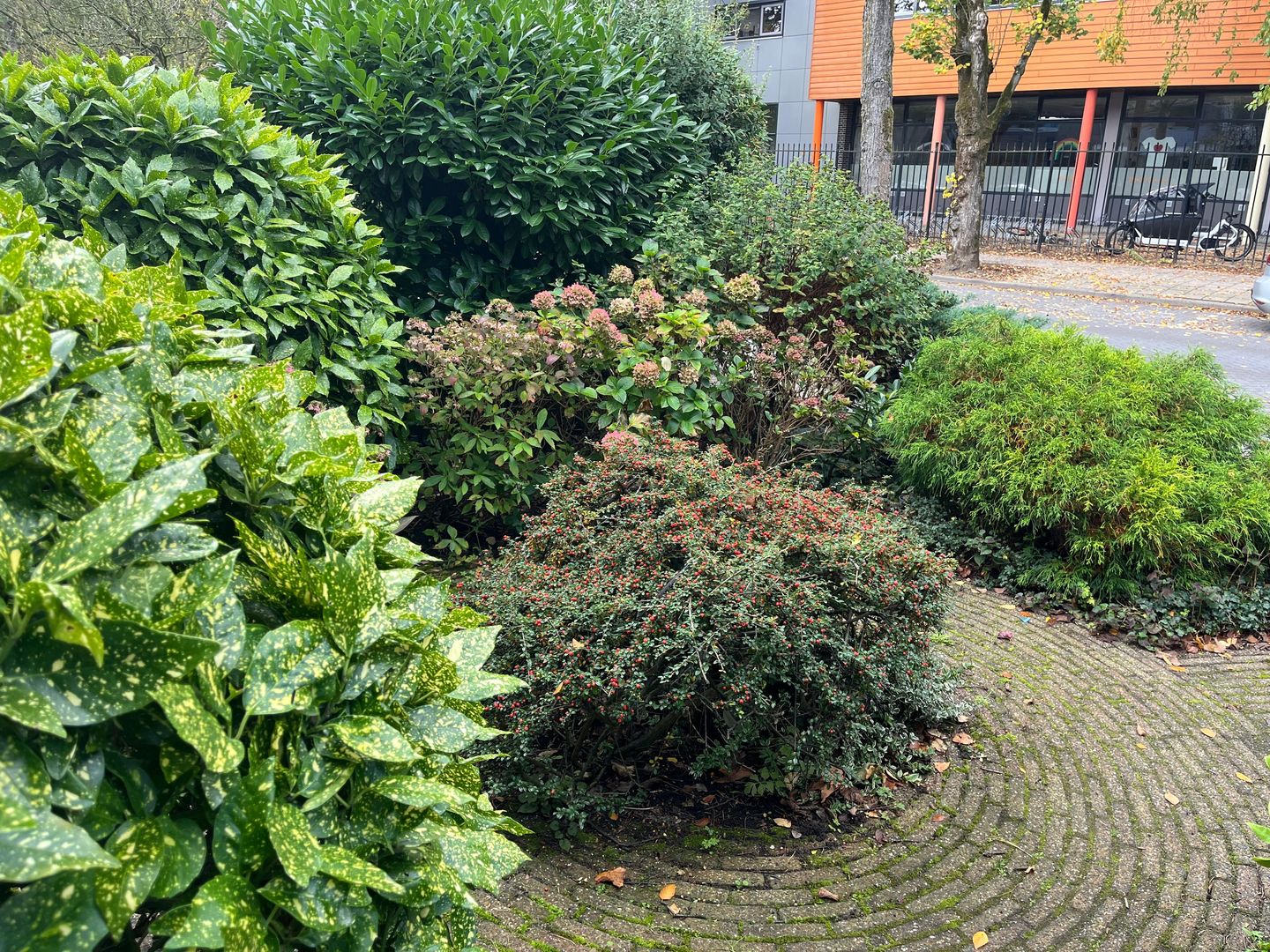 Foto 29 van Rosweydelaan 40