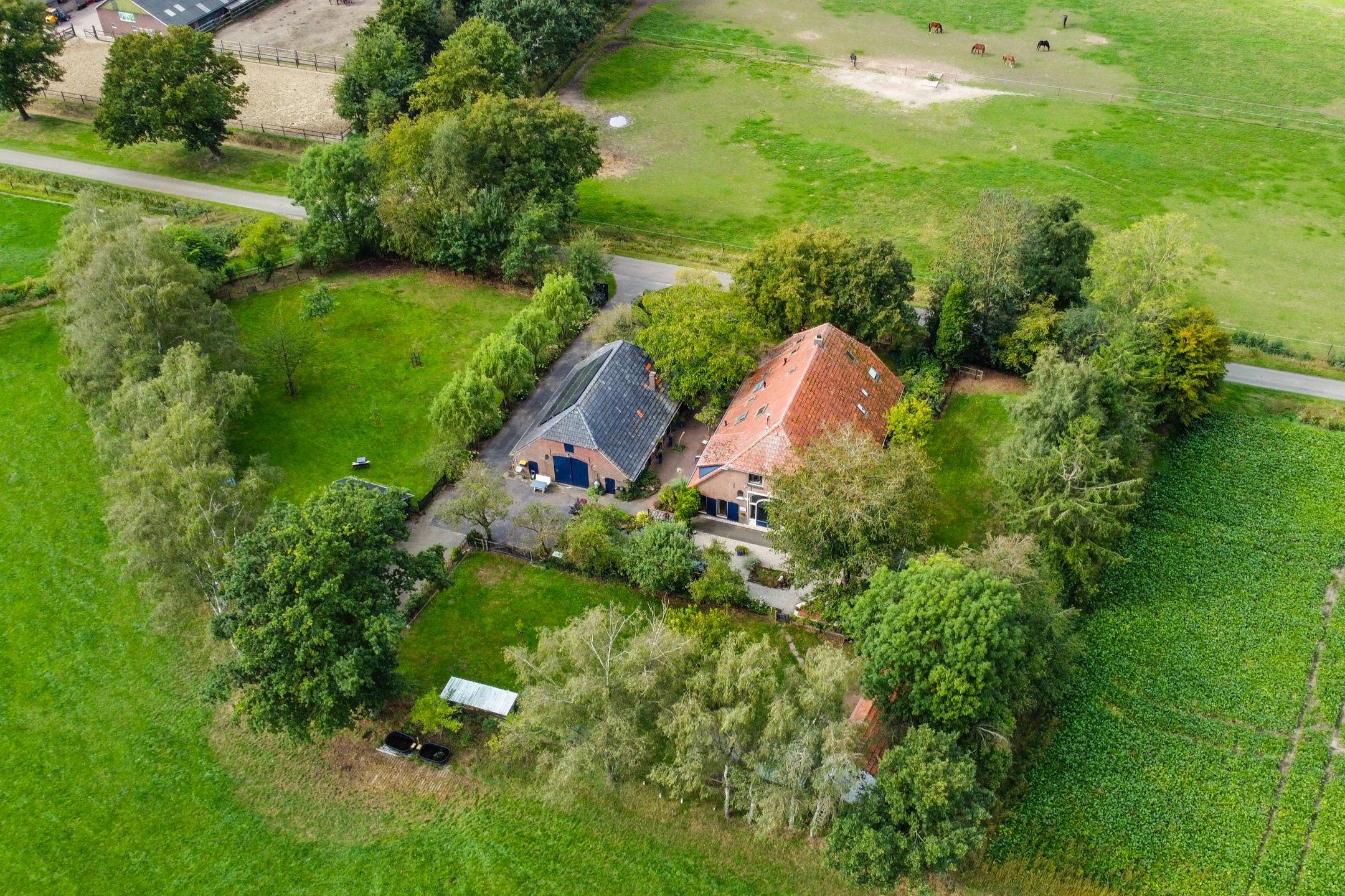 Foto 3 van Koedijk 2