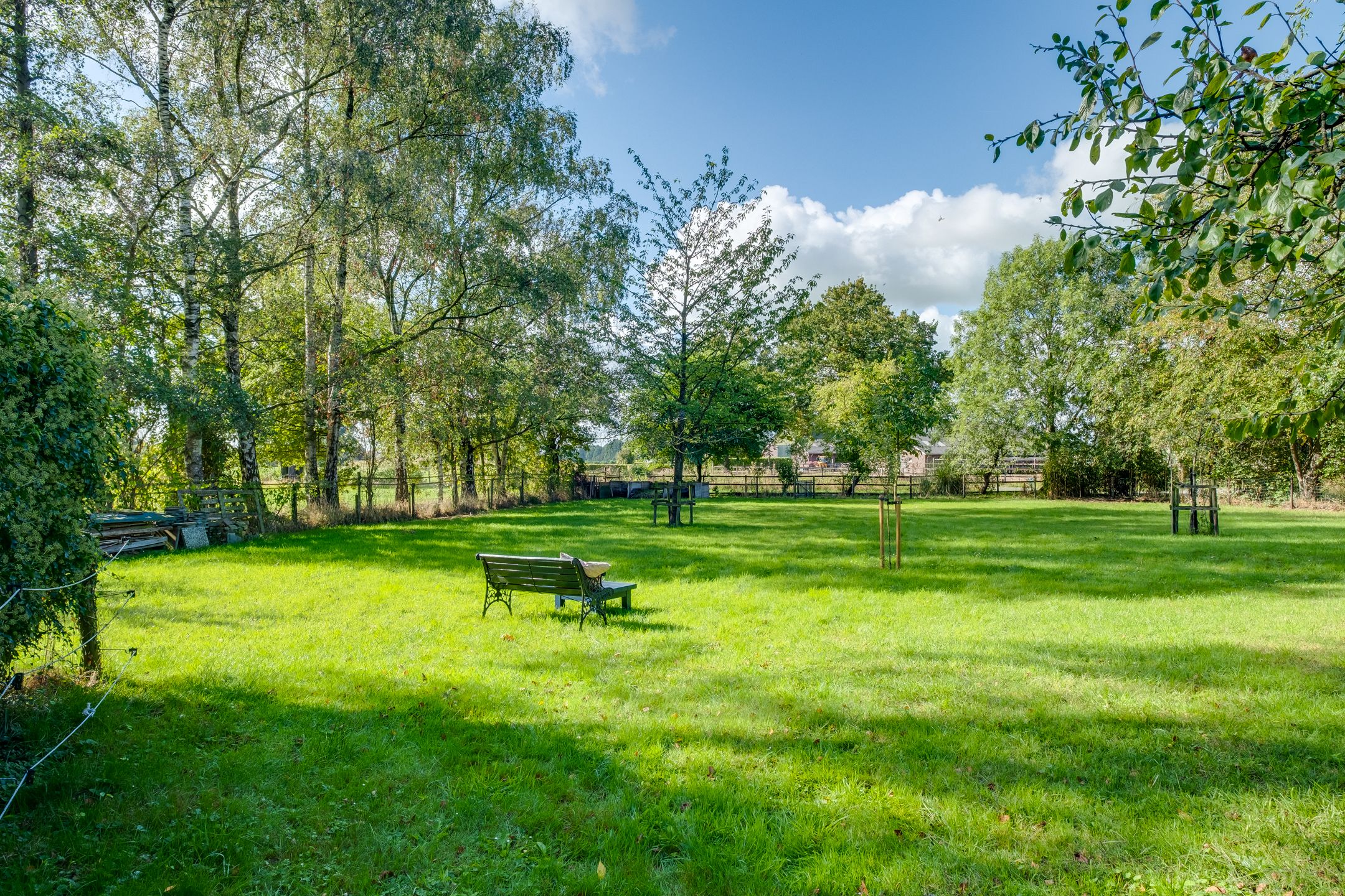 Foto 36 van Koedijk 2