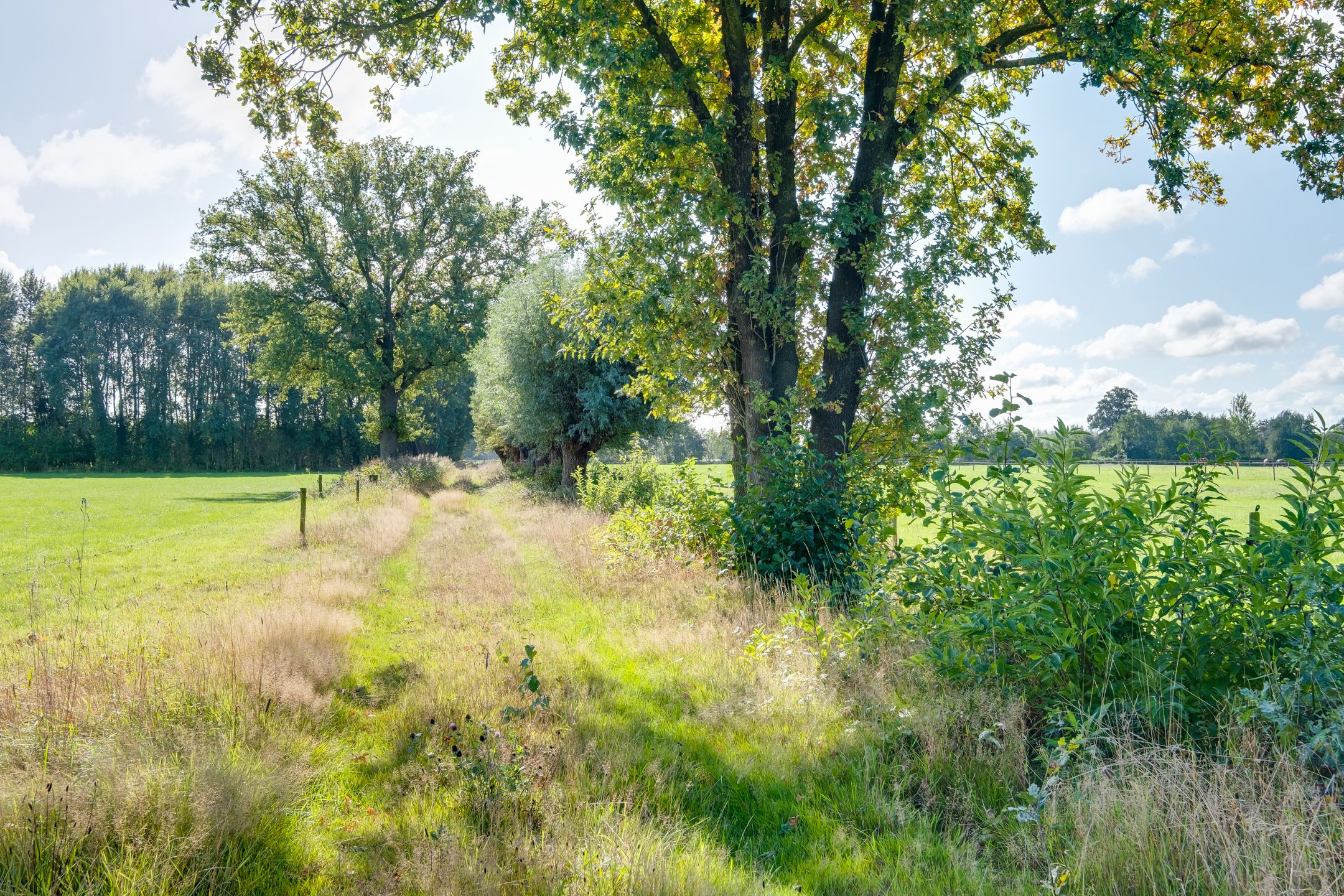 Foto 42 van Koedijk 2